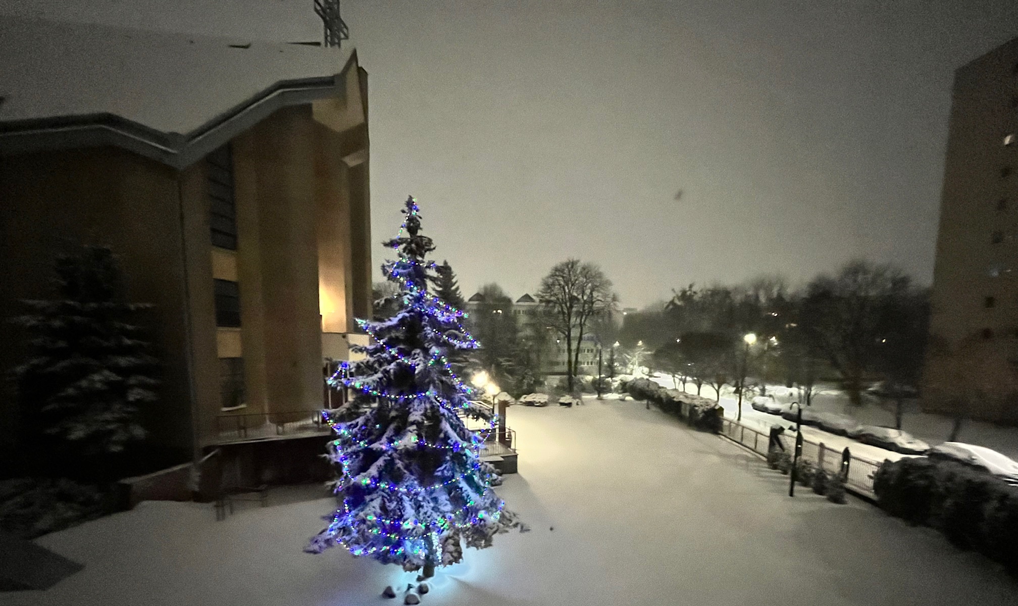 Intencje mszalne 18 – 24 stycznia 2026 r.